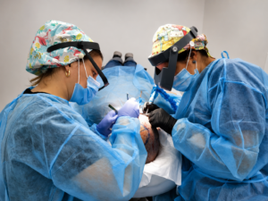הוצאת זקיקי שיער בשיטת FUE בקליניקת DNG Medical